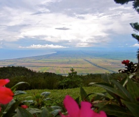 The Jerai Hill Resort