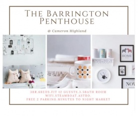 The Barrington Penthouse