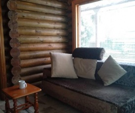 Log Cabin House